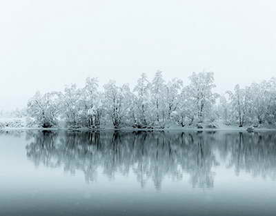 Life in the Regions: A Young Mother of Three from Nookat on Maternity Leave Decided to Raise 20 Bulls