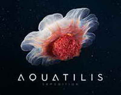 Turkiyada migratsiya qoidalari